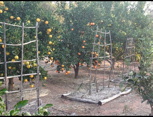 4.60HA SMALLHOLDING FOR SALE IN MODDERFONTEIN AH